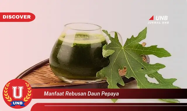 manfaat rebusan daun pepaya