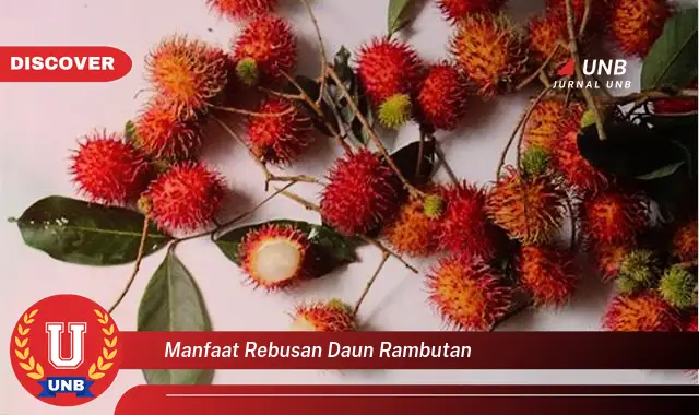 Ketahui 9 Manfaat Rebusan Daun Rambutan untuk Kesehatan Anda