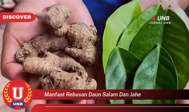 manfaat rebusan daun salam dan jahe