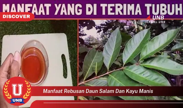 Ketahui 10 Manfaat Rebusan Daun Salam dan Kayu Manis untuk Kesehatan Anda