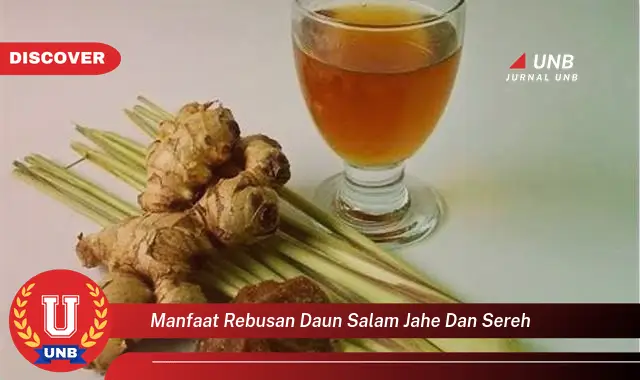 manfaat rebusan daun salam jahe dan sereh