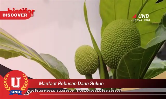 Ketahui 10 Manfaat Rebusan Daun Sukun untuk Kesehatan Anda