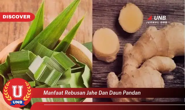 Temukan Manfaat Rebusan Jahe Dan Daun Pandan Yang Bikin Kamu Penasaran