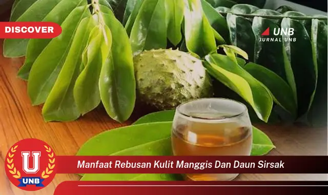 manfaat rebusan kulit manggis dan daun sirsak