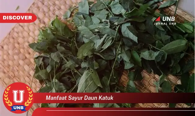 Ketahui 8 Manfaat Sayur Daun Katuk untuk Ibu Menyusui dan Kesehatan Bayi