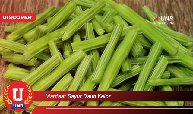 Ketahui 10 Manfaat Sayur Daun Kelor untuk Kesehatan Tubuh Anda