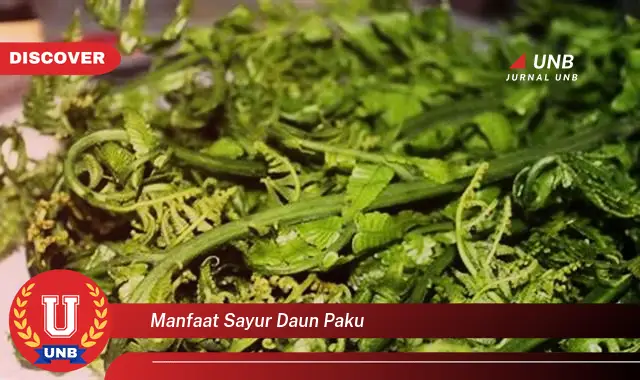 Ketahui 10 Manfaat Sayur Daun Paku untuk Kesehatan Tubuh Anda