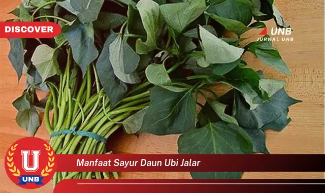 manfaat sayur daun ubi jalar