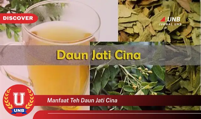 Ketahui 8 Manfaat Teh Daun Jati Cina untuk Menurunkan Berat Badan Secara Alami dan Efektif