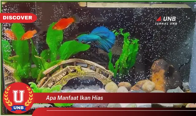 apa manfaat ikan hias