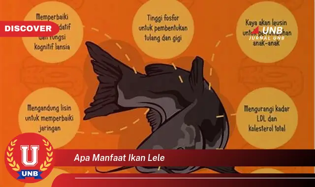 Ketahui 6 Manfaat Ikan Lele yang Jarang Diketahui