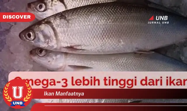 ikan manfaatnya ikan manfaatnya