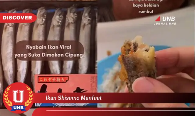 ikan shisamo manfaat ikan shisamo manfaat