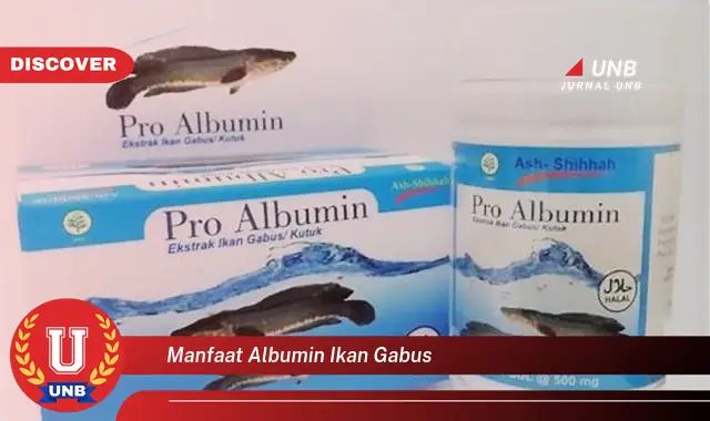 manfaat albumin ikan gabus manfaat albumin ikan gabus