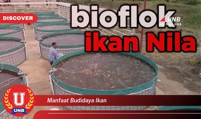 manfaat budidaya ikan