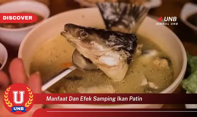 manfaat dan efek samping ikan patin manfaat dan efek samping ikan patin