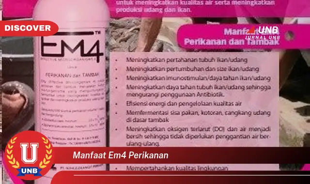 manfaat em4 perikanan manfaat em4 perikanan