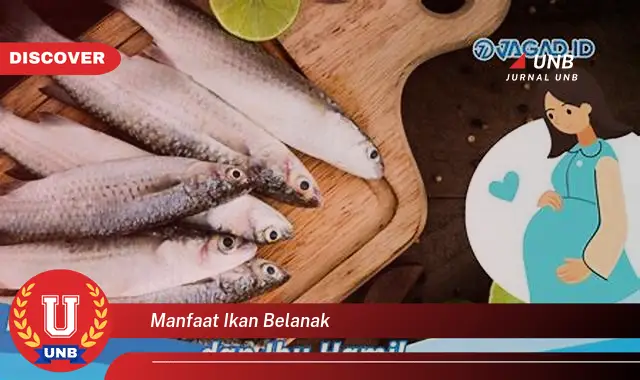 manfaat ikan belanak