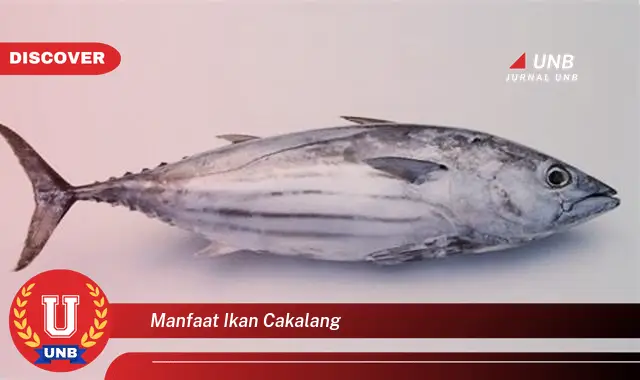 manfaat ikan cakalang