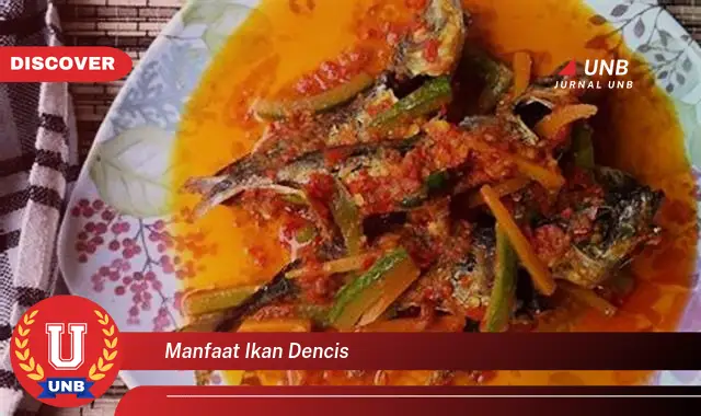 manfaat ikan dencis