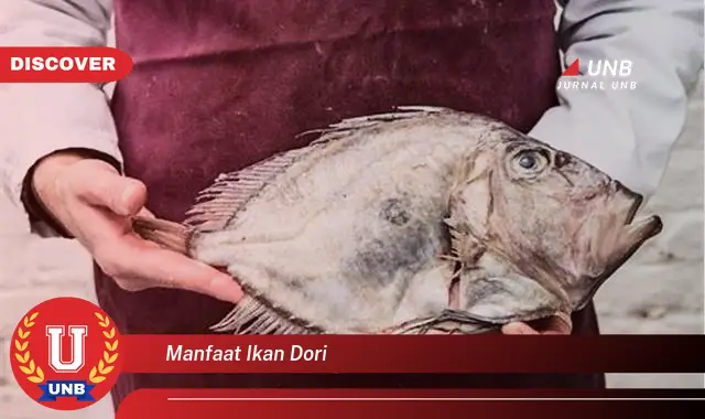 manfaat ikan dori