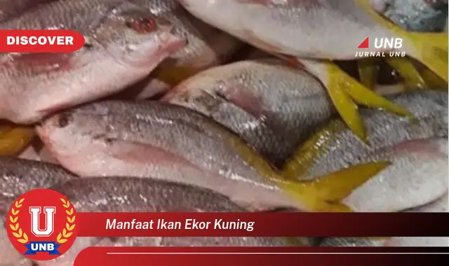 manfaat ikan ekor kuning manfaat ikan ekor kuning