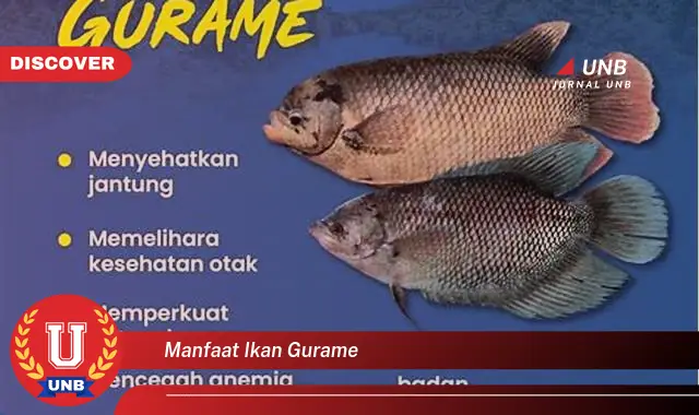 manfaat ikan gurame