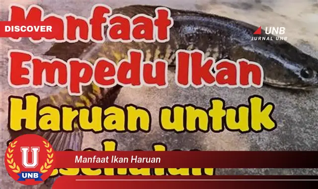 manfaat ikan haruan manfaat ikan haruan