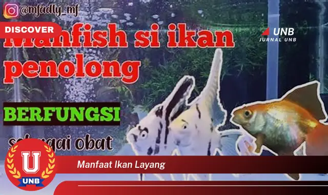 manfaat ikan layang