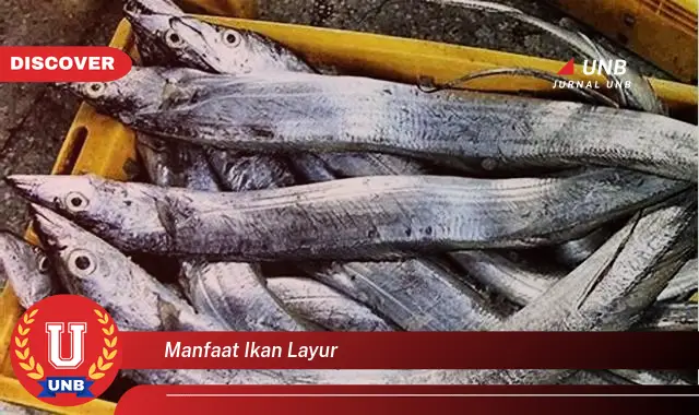 manfaat ikan layur