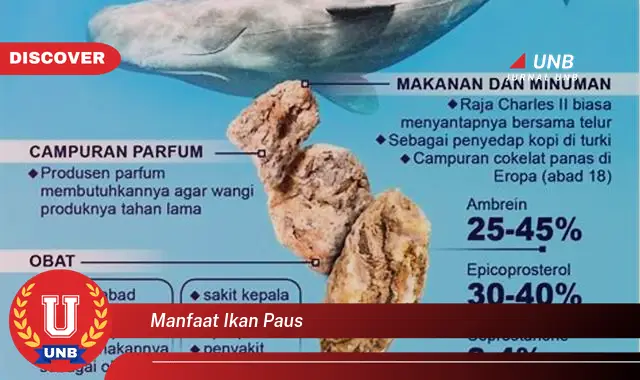 manfaat ikan paus