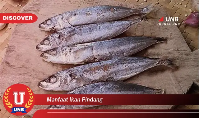 manfaat ikan pindang manfaat ikan pindang