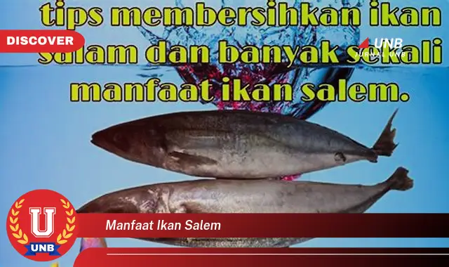 manfaat ikan salem