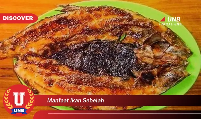 manfaat ikan sebelah