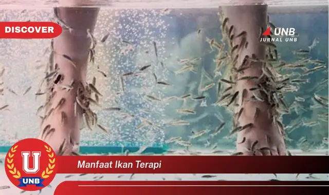 manfaat ikan terapi