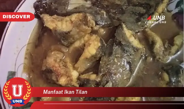 manfaat ikan tilan manfaat ikan tilan