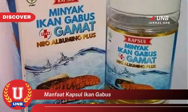 manfaat kapsul ikan gabus