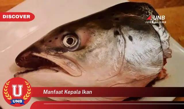 manfaat kepala ikan manfaat kepala ikan