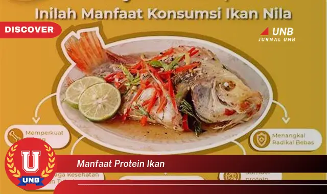 manfaat protein ikan