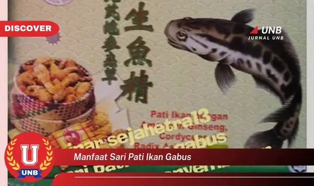 manfaat sari pati ikan gabus manfaat sari pati ikan gabus