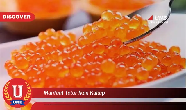 manfaat telur ikan kakap