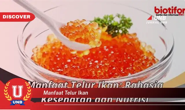 manfaat telur ikan