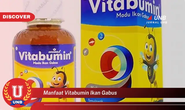 manfaat vitabumin ikan gabus manfaat vitabumin ikan gabus