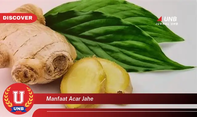 manfaat acar jahe manfaat acar jahe
