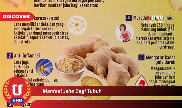 manfaat jahe bagi tubuh