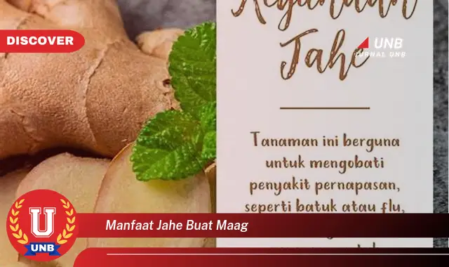 manfaat jahe buat maag