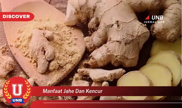 manfaat jahe dan kencur