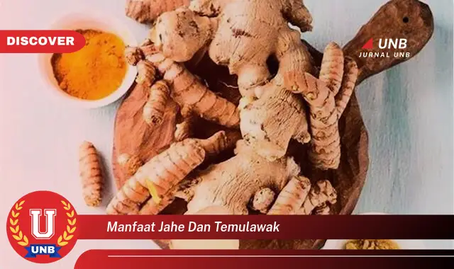 manfaat jahe dan temulawak