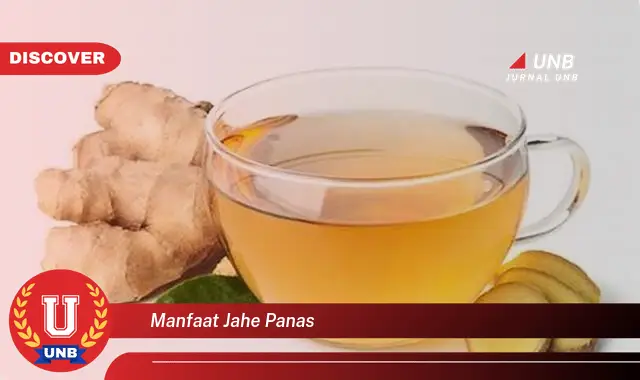 manfaat jahe panas