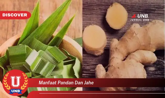 manfaat pandan dan jahe manfaat pandan dan jahe